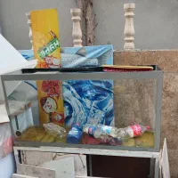 3عددیخچال ،وان قزل الا، پمپ اکسیژن،اکواریوم|عمده‌فروشی|تالش, هشتپر|دیوار