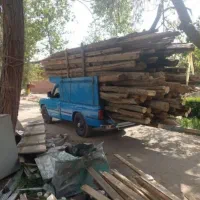 خرید چوب و درخت|خدمات باغبانی و درختکاری|بیرجند, |دیوار