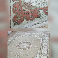 دو جفت فرش 12 متری مشهد چهارتخته است|فرش|مشهد, شاهد (شهرک غرب)|دیوار