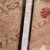 نور اکواریوم پلنت|لوازم جانبی حیوانات|بابل, |دیوار