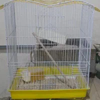 قفس پرنده عروس هلندی