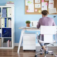 درآمد اینترنتی/کار در منزل