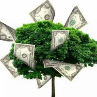 ثبت درخواست سرمایه فوری ویژه تمامی افراد