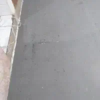 موکت|موکت|مشهد, طبرسی شمالی|دیوار