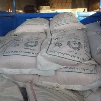 بز گندم آبی و دیم|خدمات باغبانی و درختکاری|دینور, |دیوار