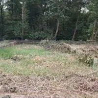 زمین تک برگ