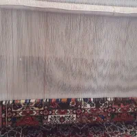 قالی|فرش|شهرکرد, |دیوار