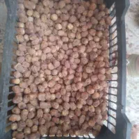 خرمای درجه یک|خوردنی و آشامیدنی|اهواز, پردیس|دیوار