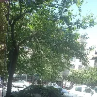 مغازه-محدوده-ی-اسکندری-ارومیه