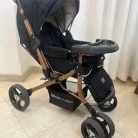 کالاسکه دلیجان