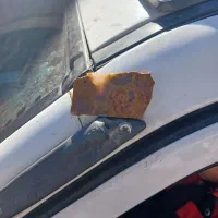 شجر گل اناری|جواهرات|زنجان, |دیوار