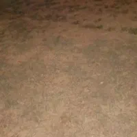 کارت ملی گم.شدع