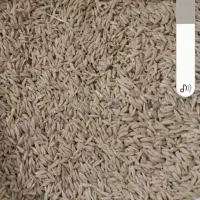 جو و گندم|حیوانات مزرعه|زالیان, |دیوار