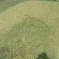 فروش علف کیلو ۱۵