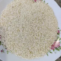 برنج محلی