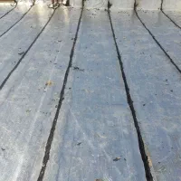 ایزوگام شرق|خدمات پیشه و مهارت|رفسنجان, |دیوار