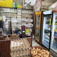 واگذاری لبنیات|فروشگاه و مغازه|کرمان, |دیوار