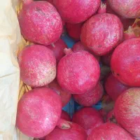 اجار انار رو درخت یا چیده به بالاترین قیمت