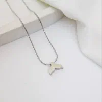 گردبند استیل رنگ ثابت|بدلیجات|قم, باسکول|دیوار