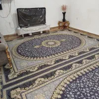 فرش|فرش|کوهدشت, |دیوار