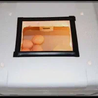 دستگاه جوجه کشی