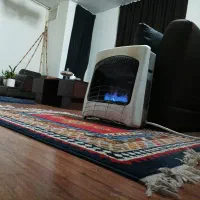 همخونه شاغل و منظم ...