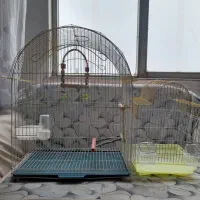 دو عدد قفس بسیار تمیز با وسایل