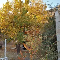 مقداری وسایل گم شده