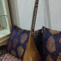 دنبوره کاملاً سالمه نوه خوش دست