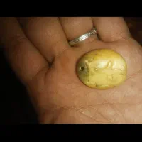 مهره قدیمی سنگ قیمتی