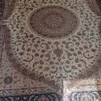 فرش ۹ متری  ۷۰۰ شانه|فرش|گرگان, |دیوار