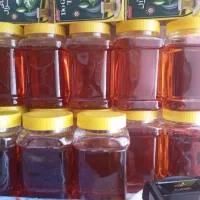 نبات زعفرانی وسفید