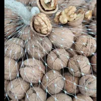 ۱۵۰ کیلو گردو درمشگین