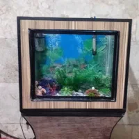 آکواریوم شیشه ساده