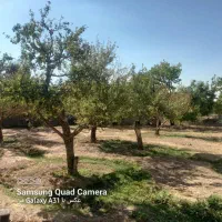 ملک و زمین خودم ب علت گرفتاری زیر قیمت