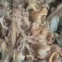پشم گوسفندی شسته شده