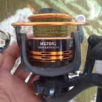 لنسر ماهیگیری