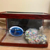 اکواریوم ماهیران