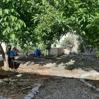 اجاره روزانه ویلا باغ|اجارهٔ کوتاهمدت ویلا و باغ|الشتر, |دیوار