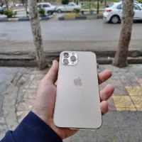 ۱۲ پرومکس zaa 256 رنگ طلایی با ریجستر