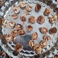 گردوی وهنان