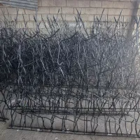 حفاظ شاخ گوزنی