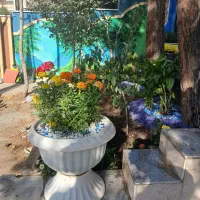 فروش انواع گل گیاه طراحی اجرا نگهداری فضای سبز|خدمات باغبانی و درختکاری|تهران, سعادت‌آباد|دیوار