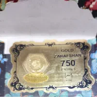 سکه وتپثکپوش درحد نو