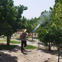 سمپاشی باغ و درختان میوه توسط مرکز خدمات سم پاشی|خدمات باغبانی و درختکاری|کرمانشاه, |دیوار
