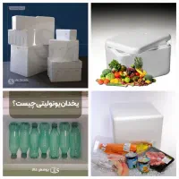 یخدان یونولیتی(کائو چو)  گوشت، مرغ،دارو