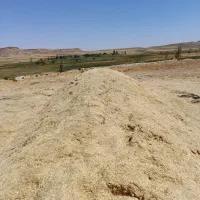 کاه|لوازم جانبی حیوانات|کبودرآهنگ, |دیوار