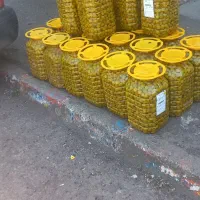 پخش عمده زیتون|عمده‌فروشی|رودبار, |دیوار