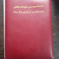 سگ شیتزو شناسنامه دار|سگ|رحیمآباد, |دیوار