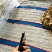 شوش خیابن ازادی|موبایل|شوش, |دیوار